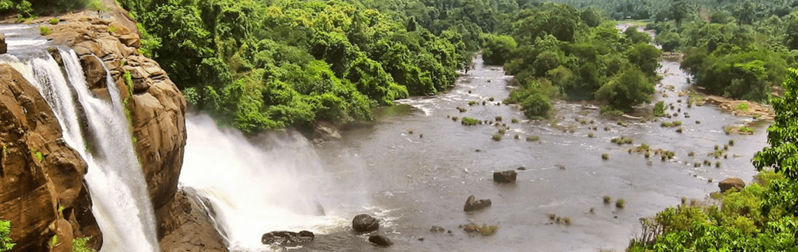 Wayanad Wild