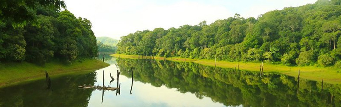 Best Kerala Package